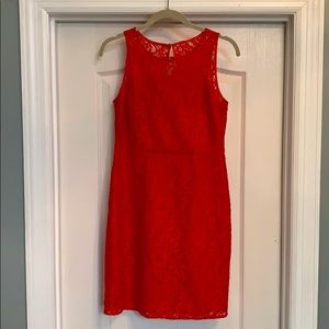 J.crew Lace Dress